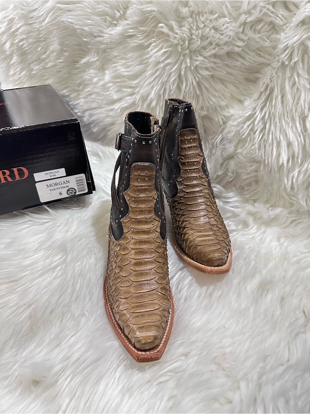 Freebird Morgan Tan Python